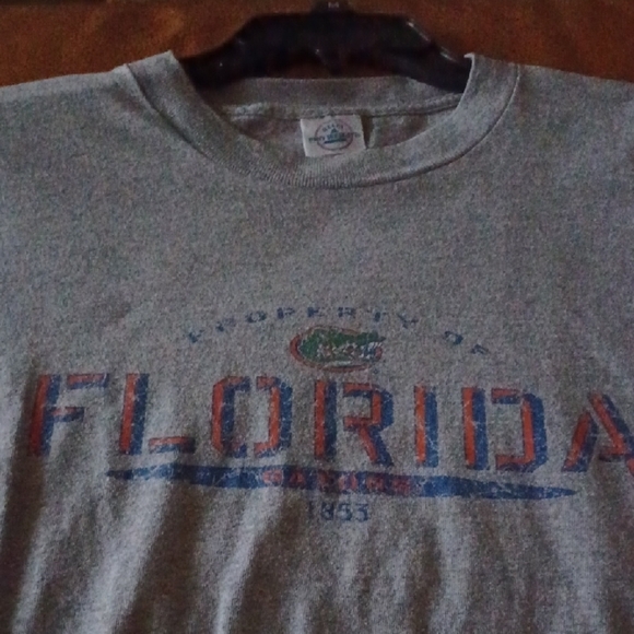 🌺Delta Pro Weight Gray T-Shirt - Picture 5 of 9